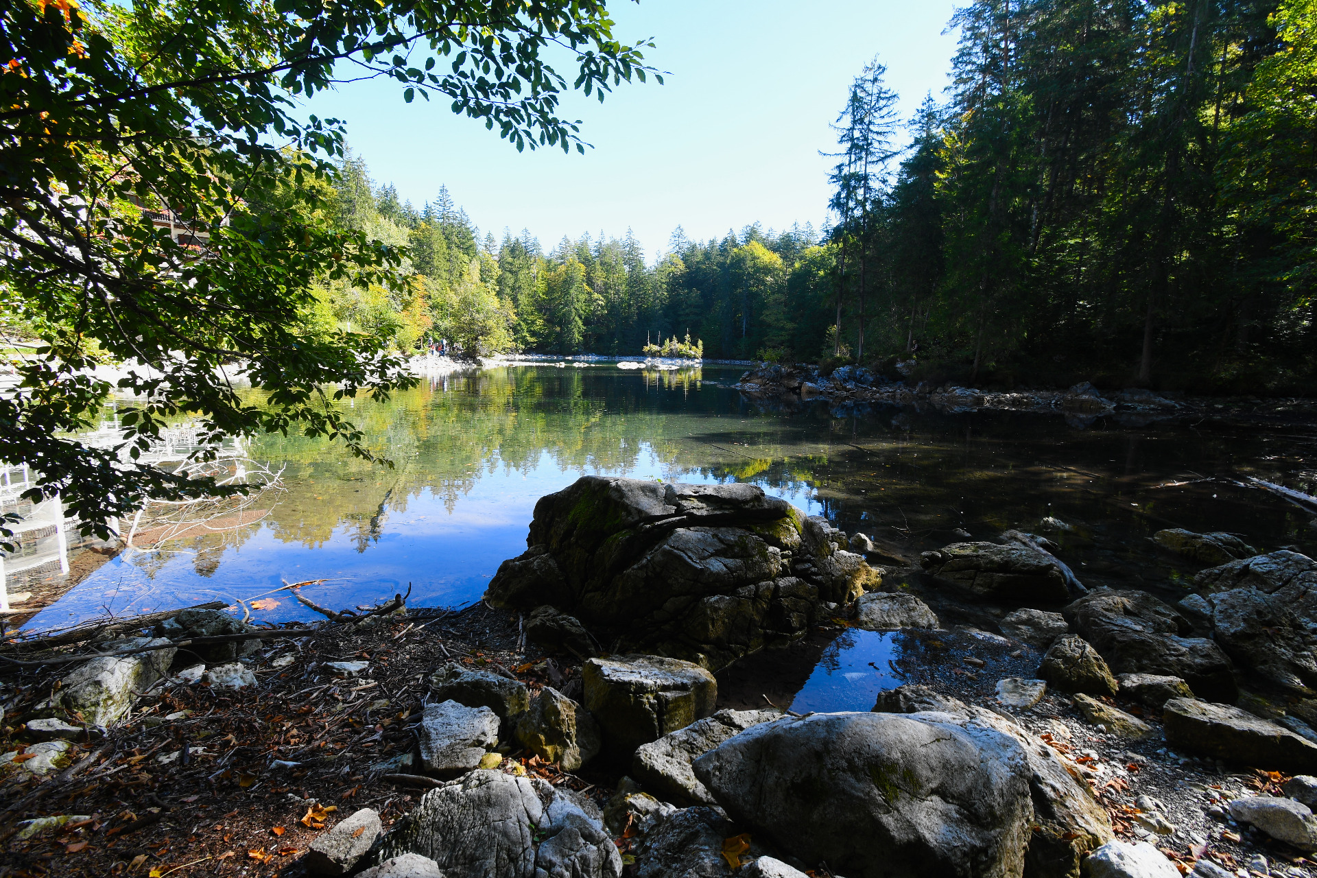 Ruhiger Waldsee mit Felsen am Ufer, grünen Bäumen und Spiegelung im klaren Wasser bei Sonnenschein.